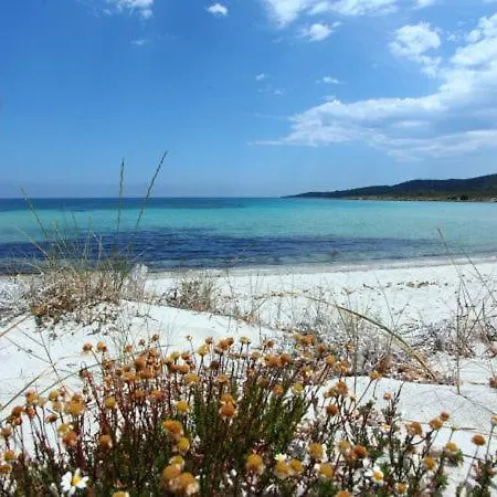 Apartment Pittulongu Sleeps 4 Olbia